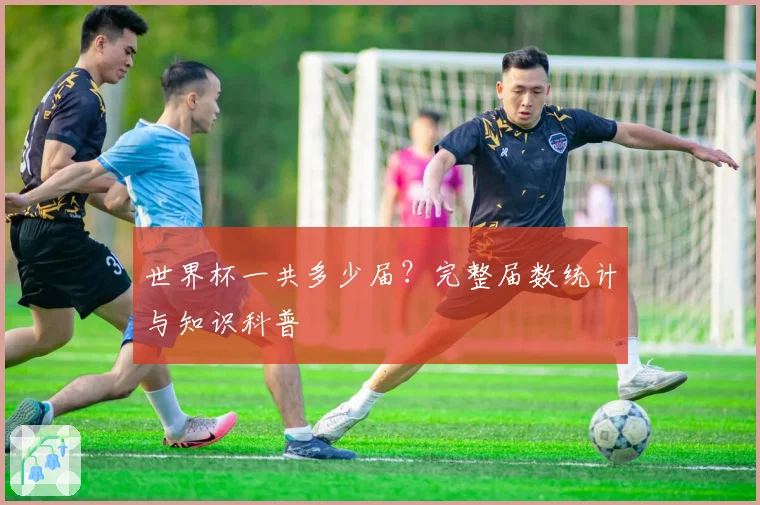 世界杯一共多少届？完整届数统计与知识科普