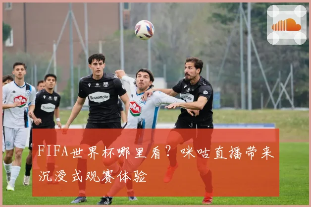 FIFA世界杯哪里看？咪咕直播带来沉浸式观赛体验