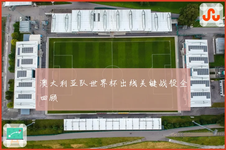 澳大利亚队世界杯出线关键战役全回顾