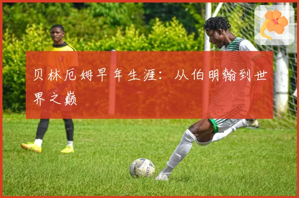 贝林厄姆早年生涯：从伯明翰到世界之巅
