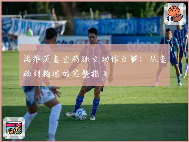 诺维茨基金鸡独立动作分解：从基础到精通的完整指南