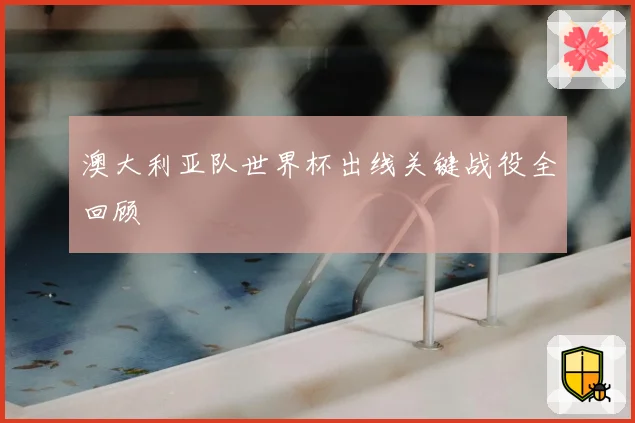 澳大利亚队世界杯出线关键战役全回顾